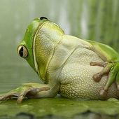 User avatar for Barnaby Smith