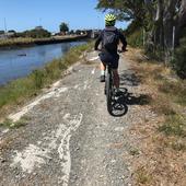 User avatar for Peter Chai