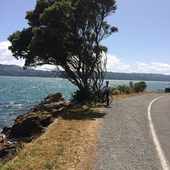 User avatar for Nicola Keating