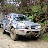 User avatar for Antony Thorpe