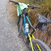 User avatar for Carla Regan