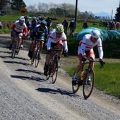 User avatar for Geoff Searle