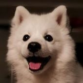 User avatar for Louise Smith