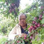 User avatar for Khairudin Mohamed