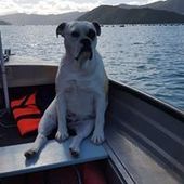 User avatar for Penny Tuckerman