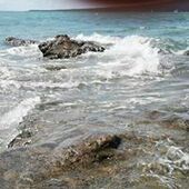 User avatar for Andrew Richardson