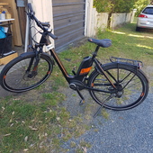 User avatar for Susie Robertson