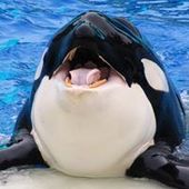 User avatar for Brendon Flanagan