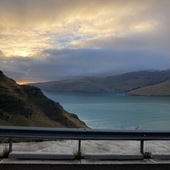 User avatar for Jacinta  Burton