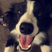 User avatar for Adrian Aplin