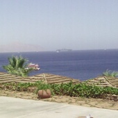 User avatar for Adele Kitson