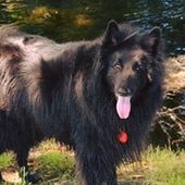 User avatar for Ashley Heywood