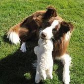 User avatar for Marilyn Porter