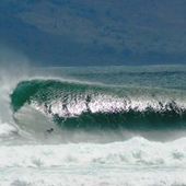 User avatar for Dustin Courage