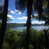 User avatar for Dillon Macfarlane