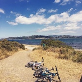 User avatar for Mandy Fogarty