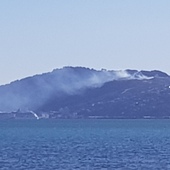 User avatar for Nick Kung