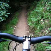 User avatar for Matt Reweti