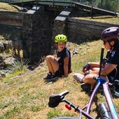 User avatar for Liam S