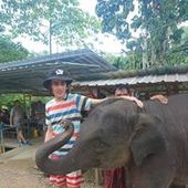 User avatar for Henri Croft