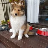 User avatar for Gavin Barbour