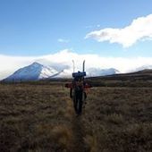 User avatar for Guglielmo Stecca