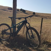 User avatar for Jack Pronger