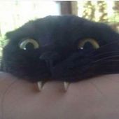 User avatar for Vanessa Lgj