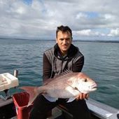 User avatar for Darryn Hopkins