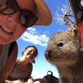 User avatar for Amy Buller