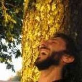 User avatar for Andrea Lamacchia