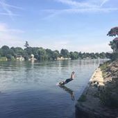 User avatar for Michelle Robinson