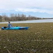 User avatar for Blake Brodhead