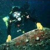 User avatar for Robert Morgan