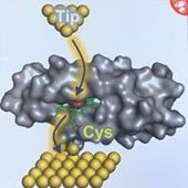 User avatar for Darran Jones