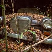 User avatar for Gordon Loveday