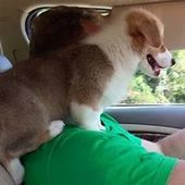 User avatar for Ed Shedlock