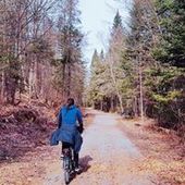 User avatar for Caro Lina