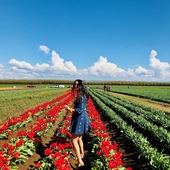 User avatar for Ariel Anaya