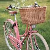 User avatar for Nicola Grimley