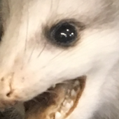 User avatar for Bryon Alexander