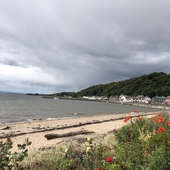 User avatar for Lee Vause