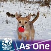 User avatar for Heather Waugh