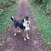 User avatar for Michelle Evans