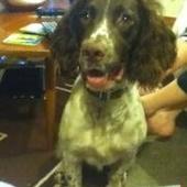 User avatar for Alannah Ramsay