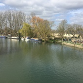 User avatar for Adriano dos Santos