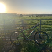 User avatar for Mark Williams