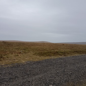 User avatar for Andy Gee