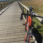 User avatar for Jeff Bryers