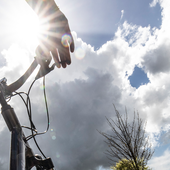 User avatar for Diane Bourdon